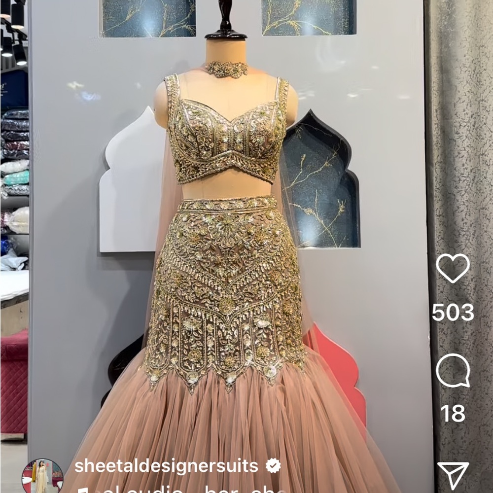 Gold and Tan Embellished Lehenga